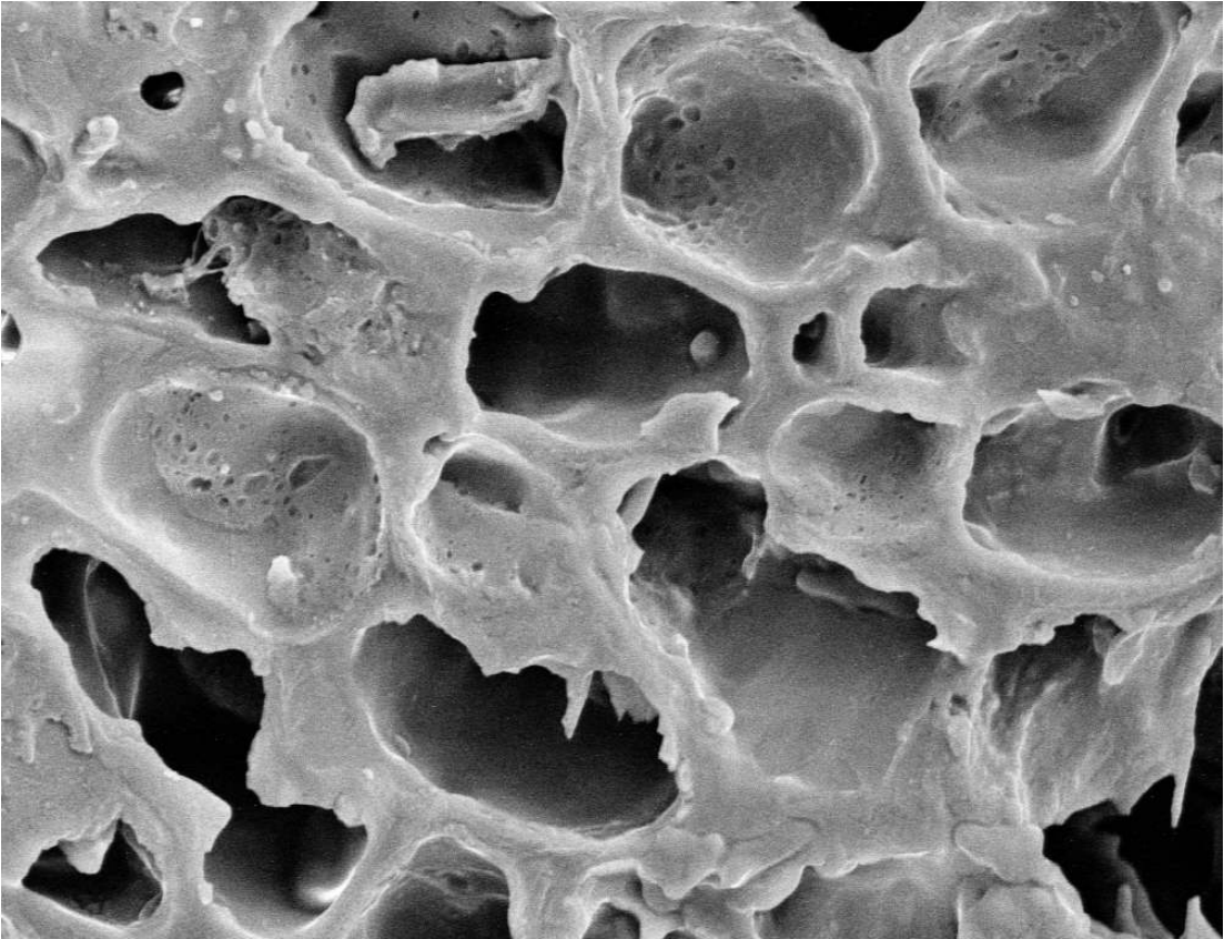 An Intuitive Guide To Coffee Solubles, Extraction And TDS